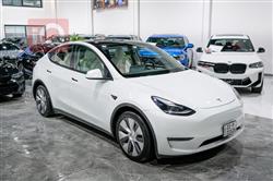 تێسلا مۆدێلی Y